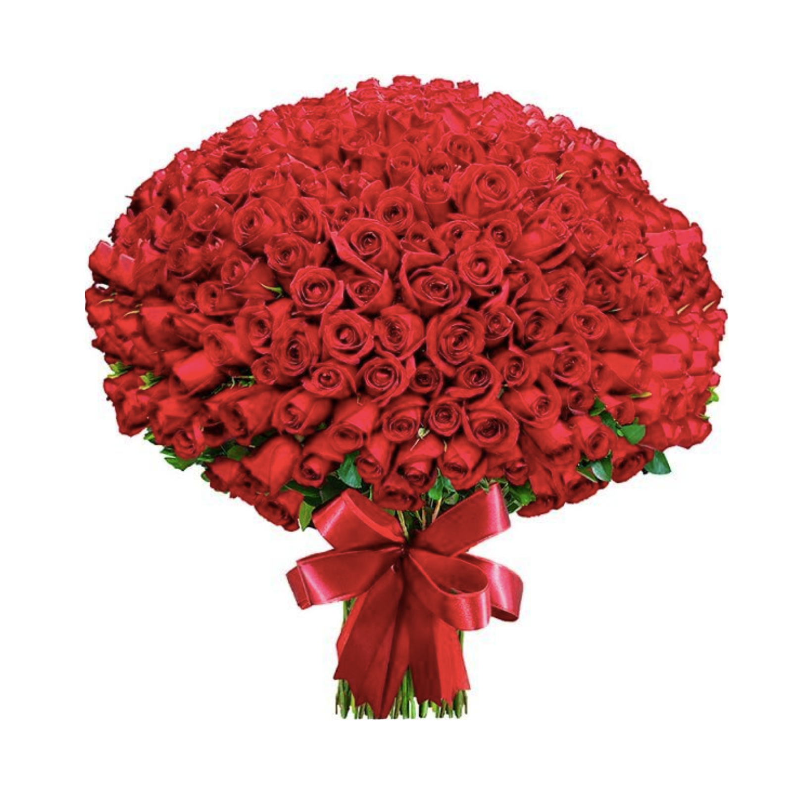 Buqu com 50 Rosas Vermelhas importadas.